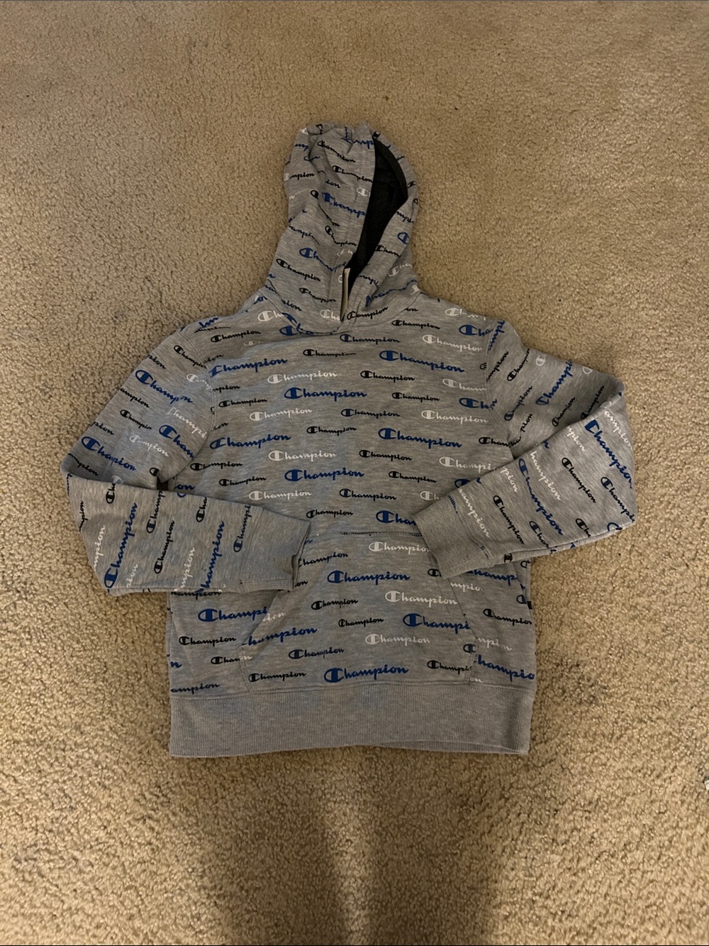Champion Hoodie with Logo Print